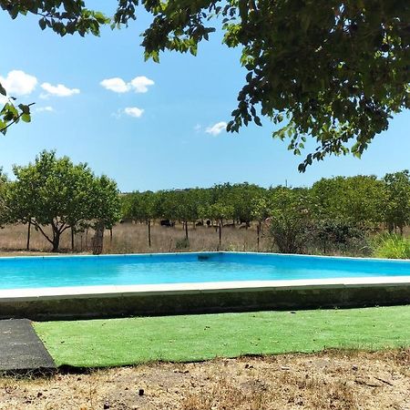 Rod Ranch Livestock - Stanza Doppia Con Letti Singoli Villa Campagnano Di Roma Exterior photo